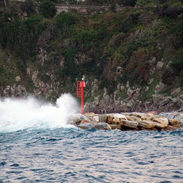 Totano2015 (3)